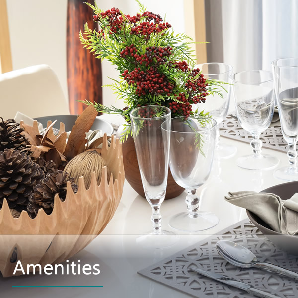 Features & Amenities