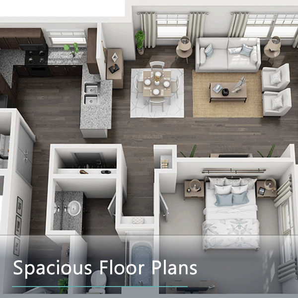 Spacious Floor Plans